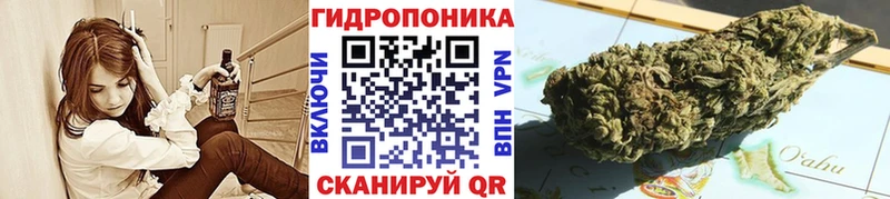Где продают наркотики Гороховец АМФ  Кокаин  ГАШИШ  Мефедрон  Метамфетамин  Конопля 