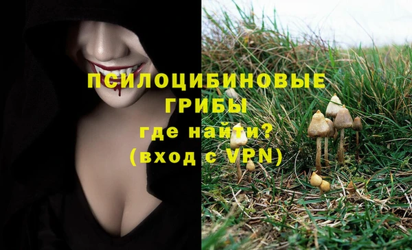 не бодяженный Волосово