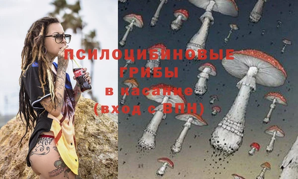не бодяженный Волосово