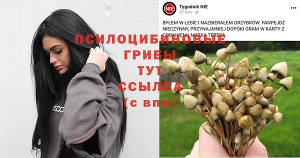 не бодяженный Волосово