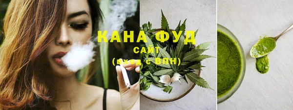 мдпв Гусь-Хрустальный