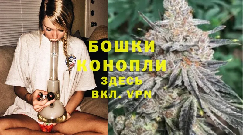 цена наркотик  Гороховец  Бошки Шишки OG Kush 